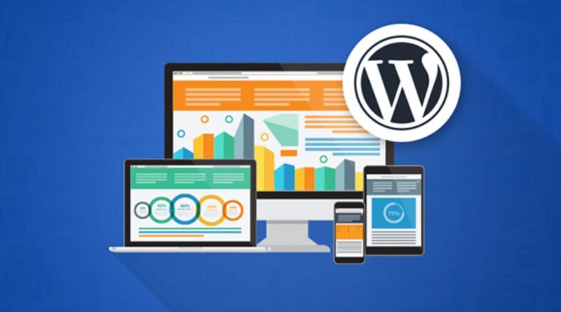 Wordpress Themes and Plugins